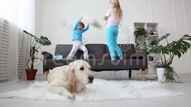 兄妹俩在客厅的沙发上玩枕头。 金毛猎犬躺在地板上。 生活